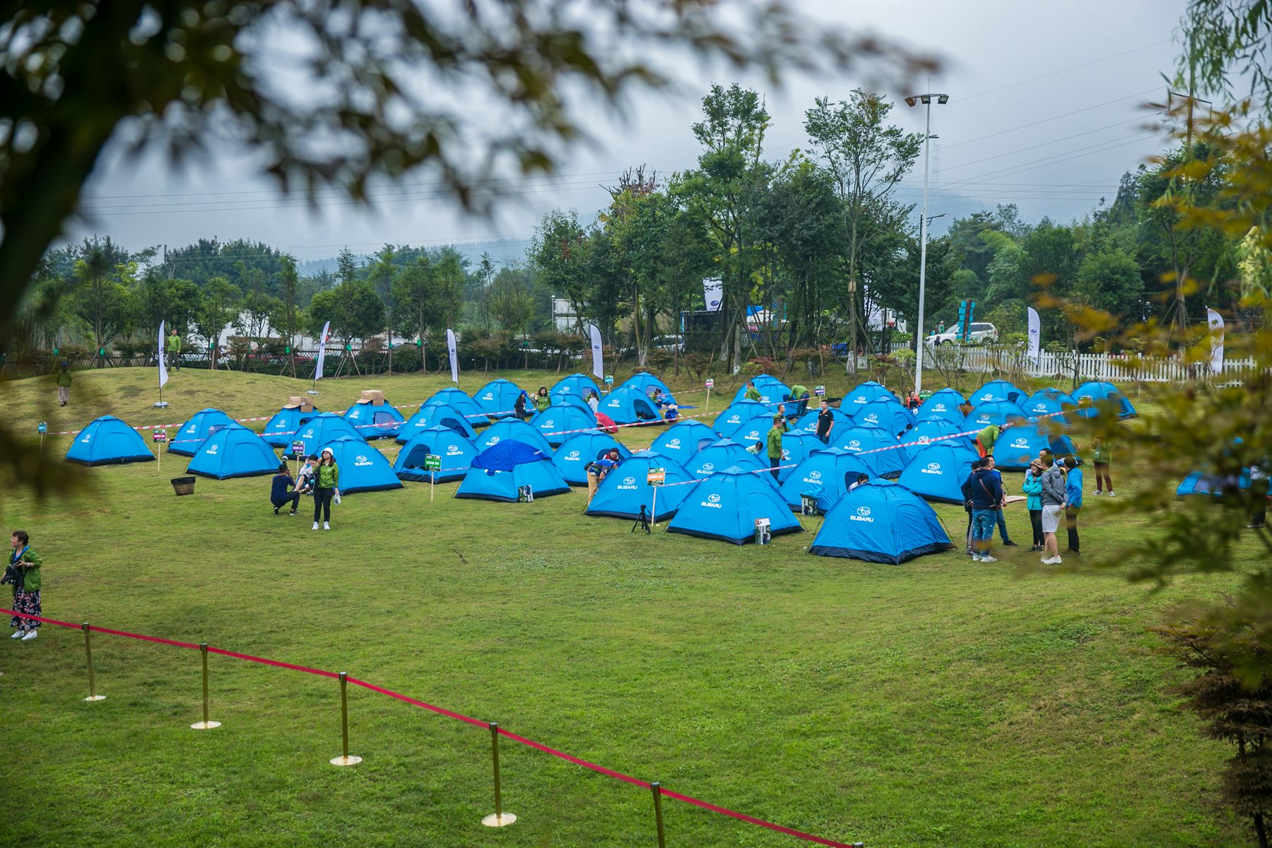 斯巴鲁为什么大家都买,斯巴鲁为啥那么多人买