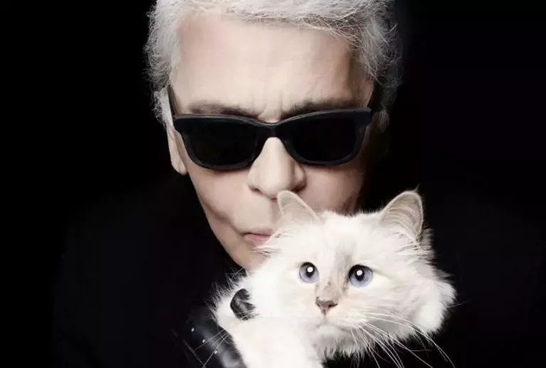 今天给你们看看那些闲得要命、富得流油的猫！