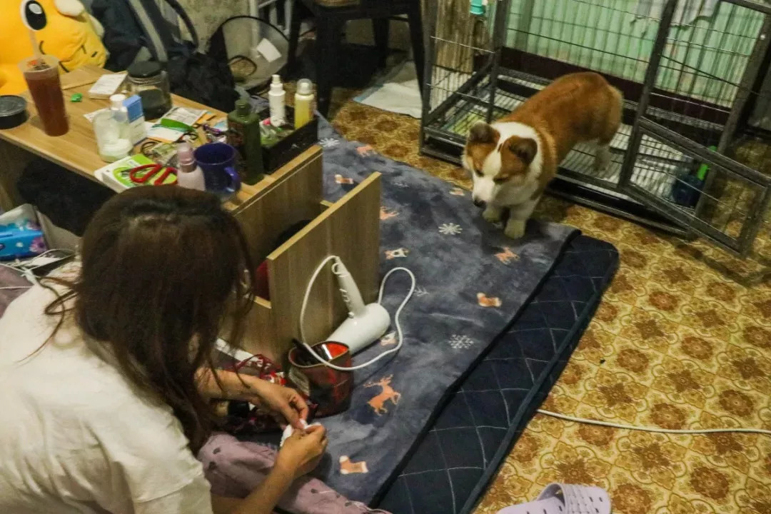 南京的夜晚真实图片,2005年的南京街头真实影像