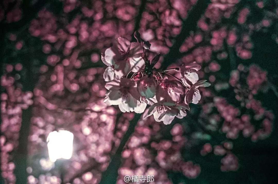 南京的夜晚真实图片,2005年的南京街头真实影像