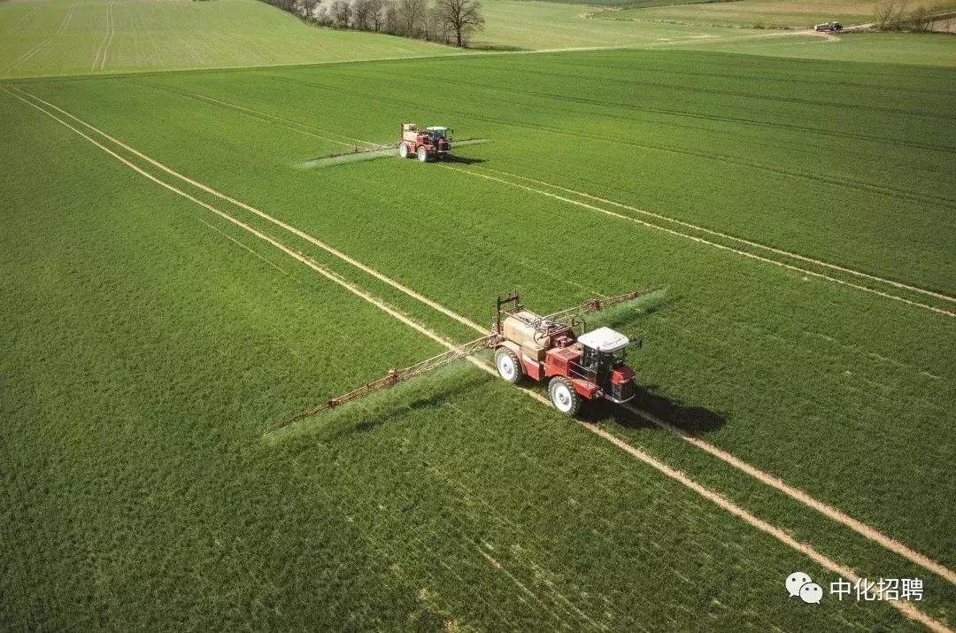 中化控股集团有限公司2024招聘,中国中化集团校园招聘1901人公告