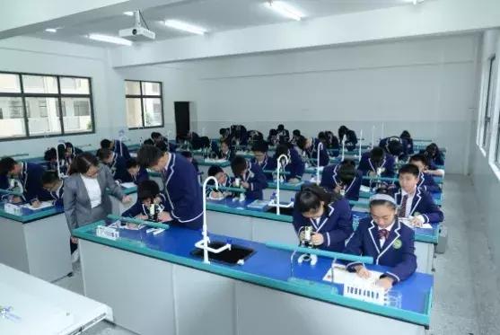 从无人问津到万众瞩目系列,从无人问津到炙手可热