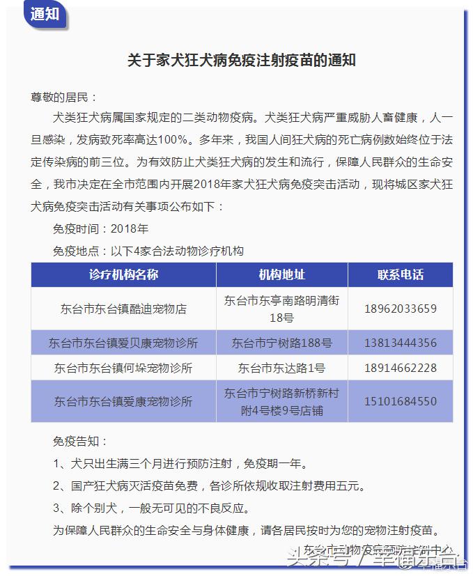 关于养犬致全体市民的一封公开信,通知给养犬居民的一封信请查收