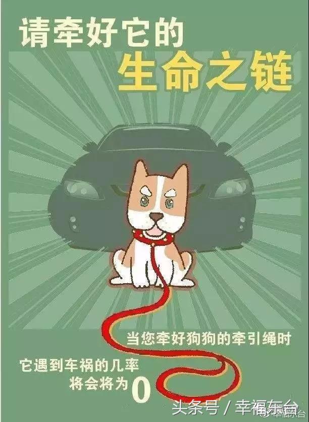 关于养犬致全体市民的一封公开信,通知给养犬居民的一封信请查收