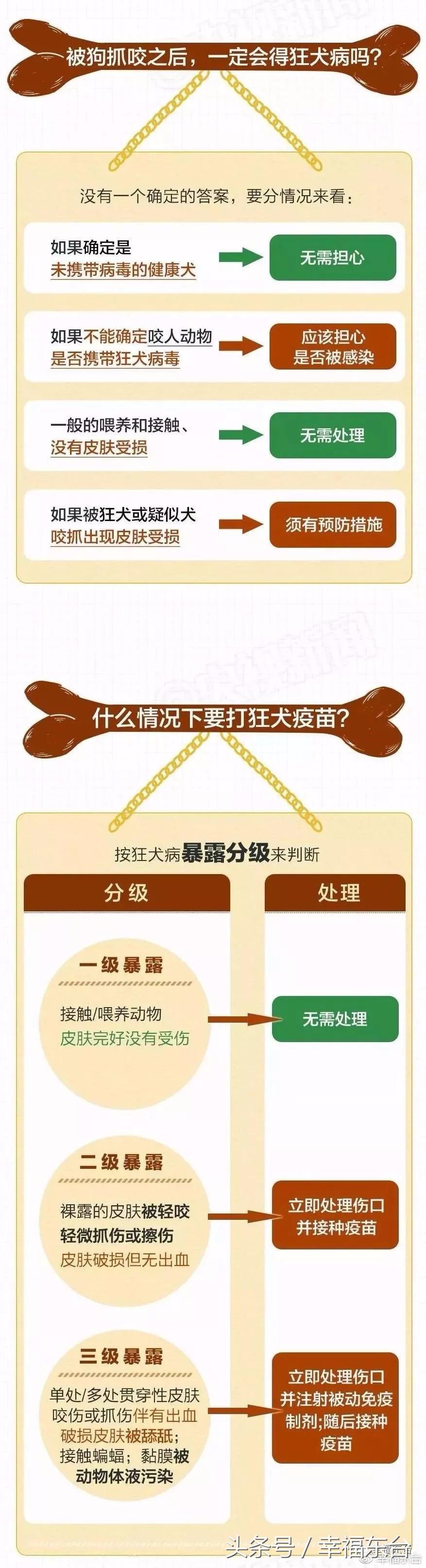 关于养犬致全体市民的一封公开信,通知给养犬居民的一封信请查收