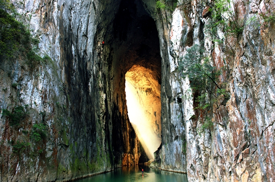 让我们走进美丽的紫云,最美的紫云花海