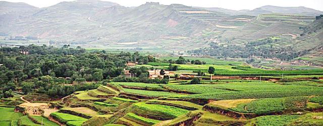 农资经销商的十大出路,农资经销商面临的十大战略问题