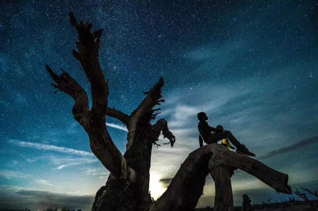 跟着玄奘西行,跟着唐僧去旅行观感和收获