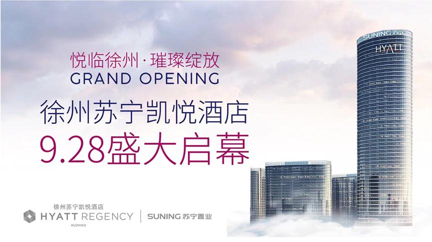 苏宁置业深度解析,苏宁置业地产排名