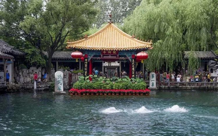 Hi，我是即将站上世界C位的山东！