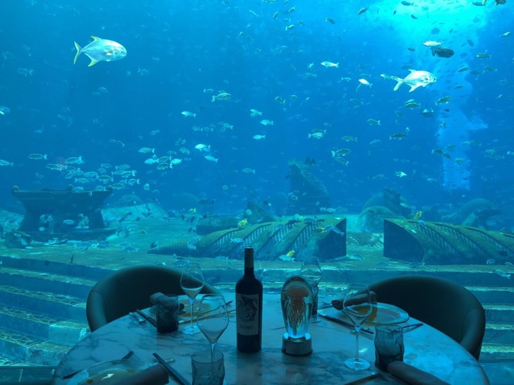 三亚亚特兰蒂斯酒店体验讲解,三亚亚特兰蒂斯酒店自由行攻略