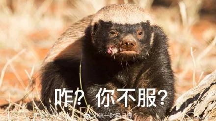 马云宣布退休全部视频,马云退休前放大招