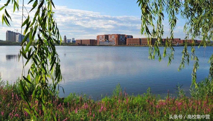 四大直辖市理工大学排名,四大直辖市重点大学