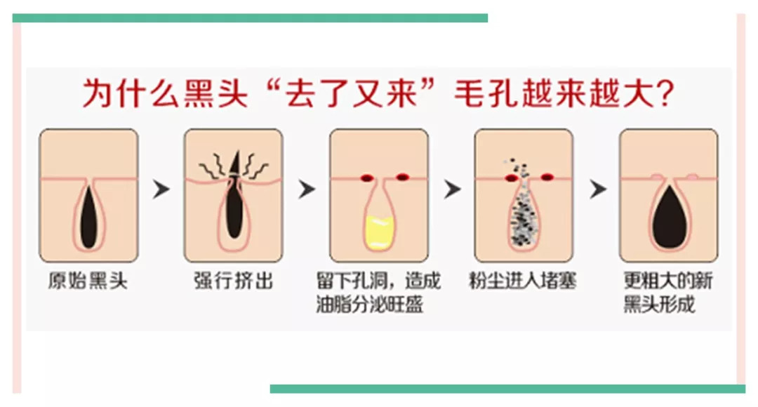 鸡冻僵复活,鸡冻了能救活吗