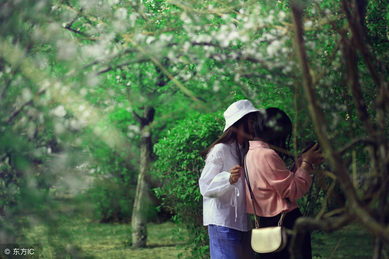 分享——强迫症的自我排解方法