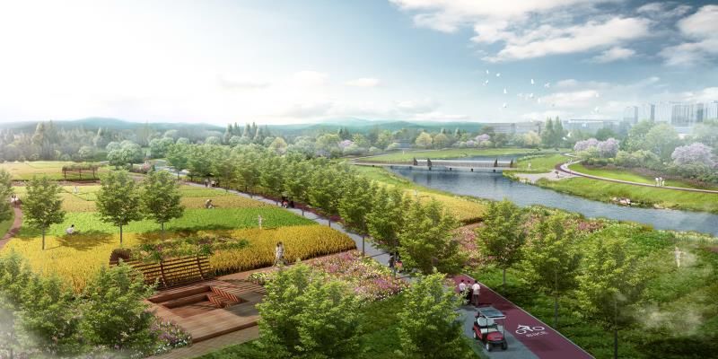 近两年海南新建的学校,海南准备建设的学校