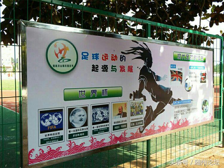 生态教育促成长浓墨重彩绘华章——记阔步前进中的洪山镇中心学校