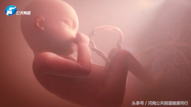 精湛医术护佑女性健康敬业奉献荣膺最高奖项——郑大一附院纪妹