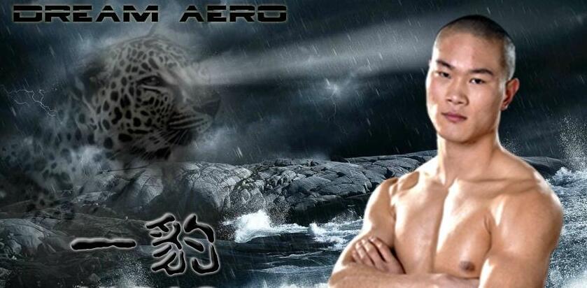 武僧一豹打过几场比赛呢,武僧一豹被ko