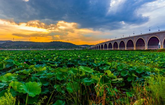 「诗词原创」黄小波|一蝉独响高枝远引我诗情意未央
