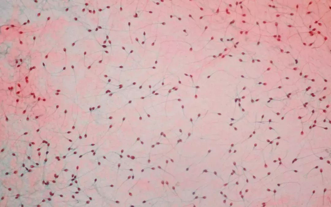 宇宙中最大数字单位你了解多少,宇宙的数字从最大到最小排名