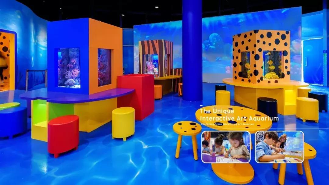 2018cae上海展,2018caac猫展冠军