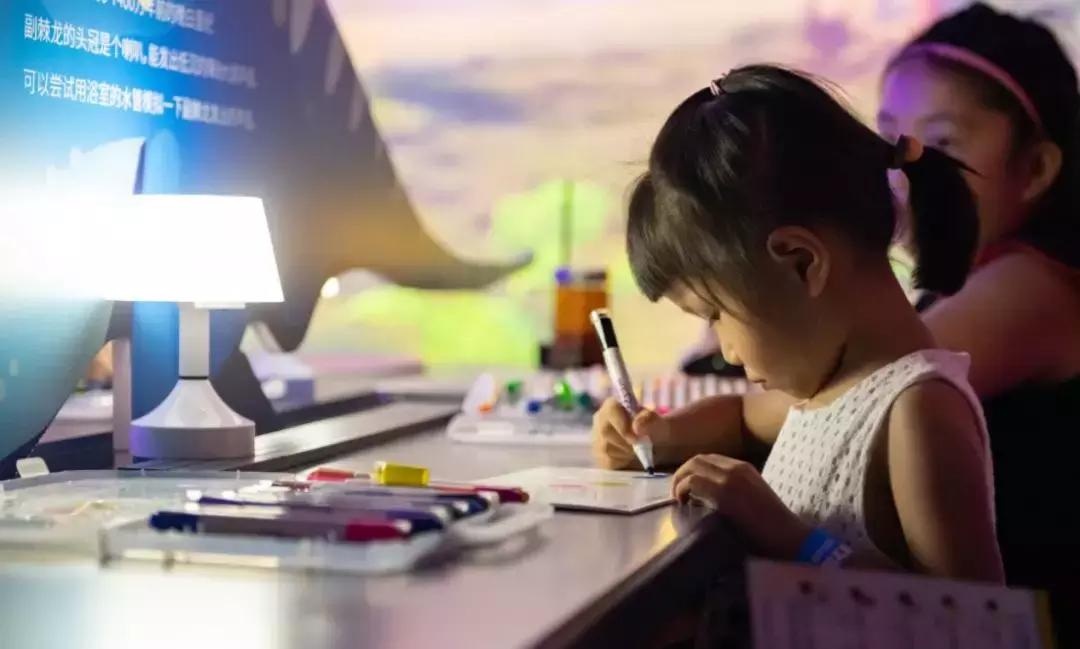 2018cae上海展,2018caac猫展冠军