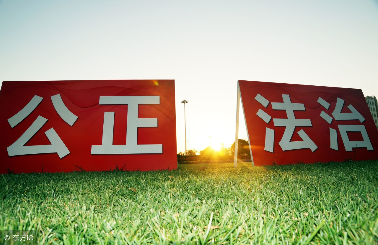 民事案件再审申请被驳回后怎么办,民事诉讼再审申请被驳回如何处理