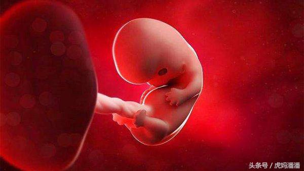 孕早期tsh正常孕中期还需要检查吗,孕早期必做的检查