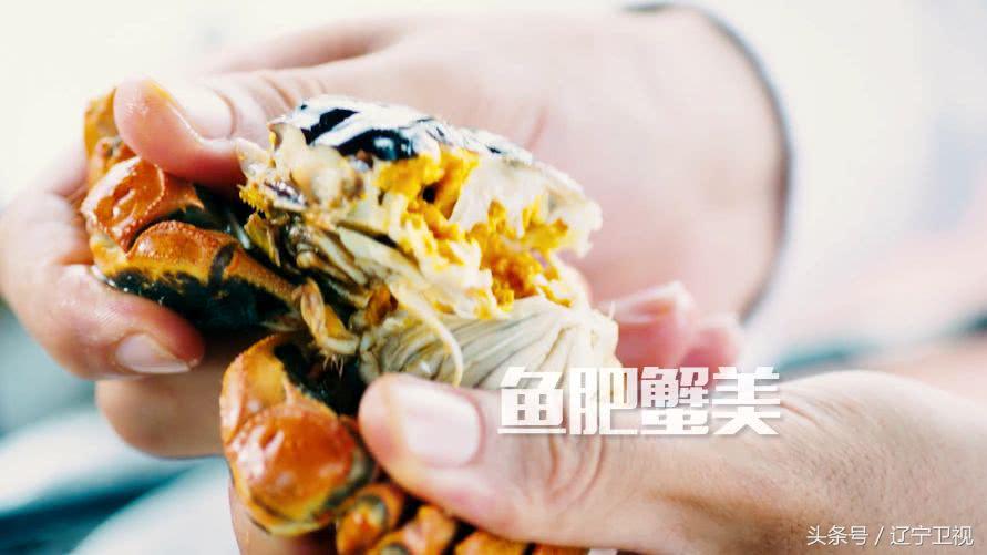 丰收中国北大荒,丰收中国幸福盘锦直播