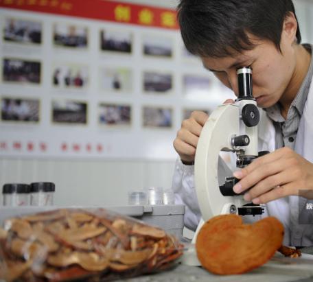 如何看待灵芝孢子粉的价格,灵芝孢子粉品质好坏如何鉴别