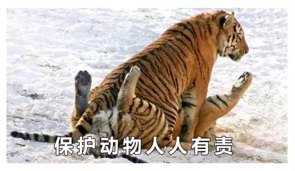 听说有种药，用了控制不住就想要