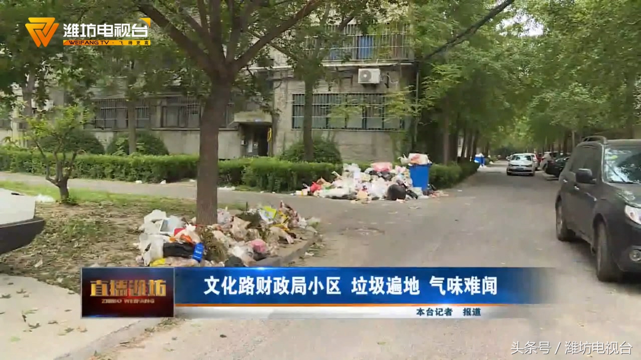 小区公共区域垃圾成堆拒缴物业费,垃圾泛滥小区无人管