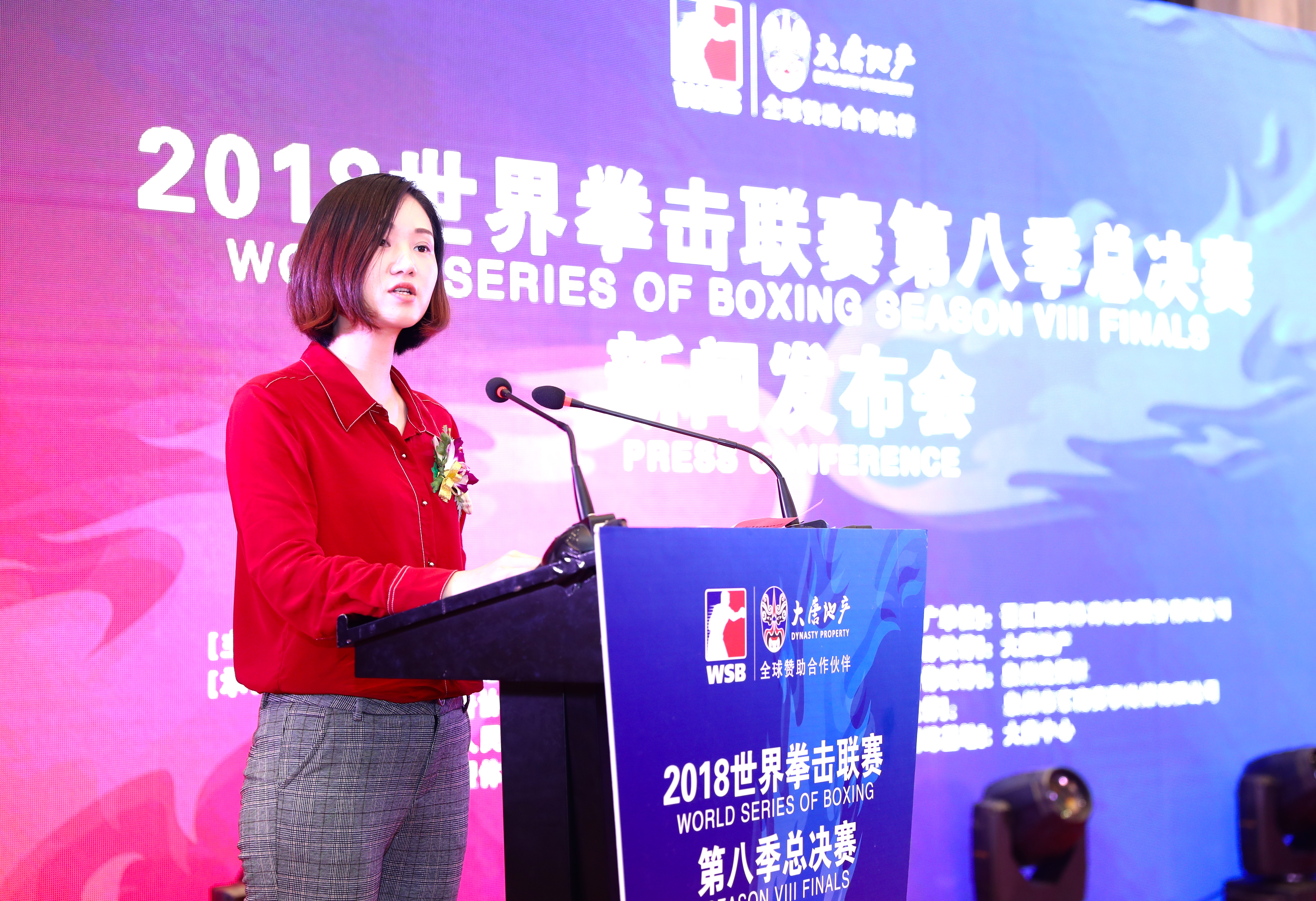 wsb世界职业拳击联赛,wsb拳击联赛