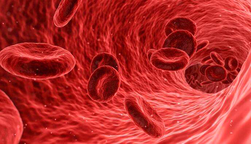 夏季养阳穴位,大人恶寒按摩什么穴位