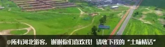 第三届保定市旅发大会吉祥物亮相,保定首届旅发大会