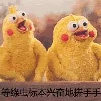 这是一个忧伤的故事英文,这是个忧伤的故事