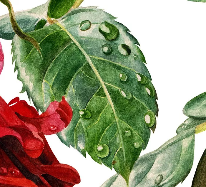 她画的超写实水彩花卉美到窒息,让人惊艳的水彩画