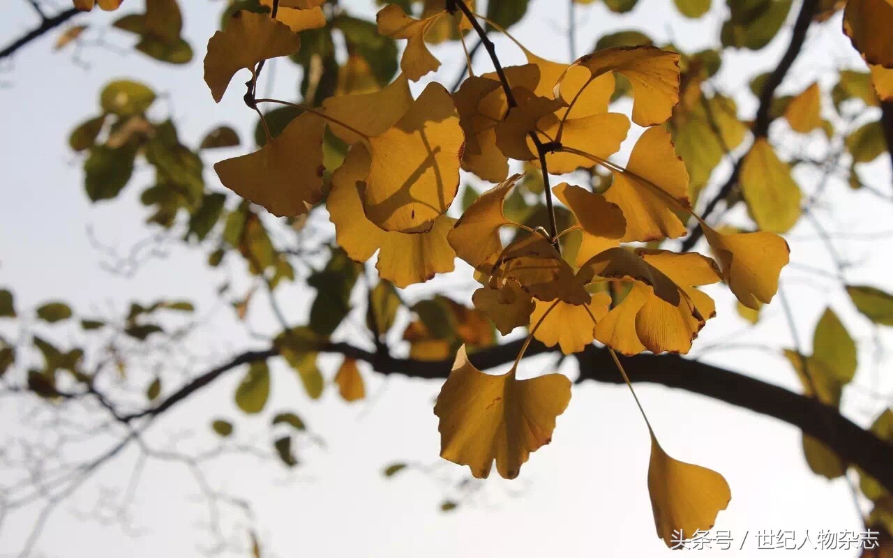 绉嬪垎璁╀汉闅惧彈,绉嬪垎蹇冮唹