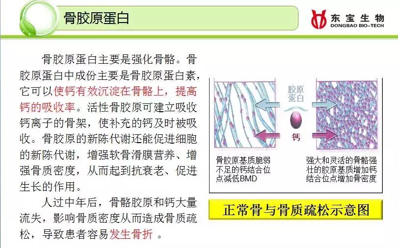 史上最大福利｜元素骨肽来喽，还买二送一，还送油哦~