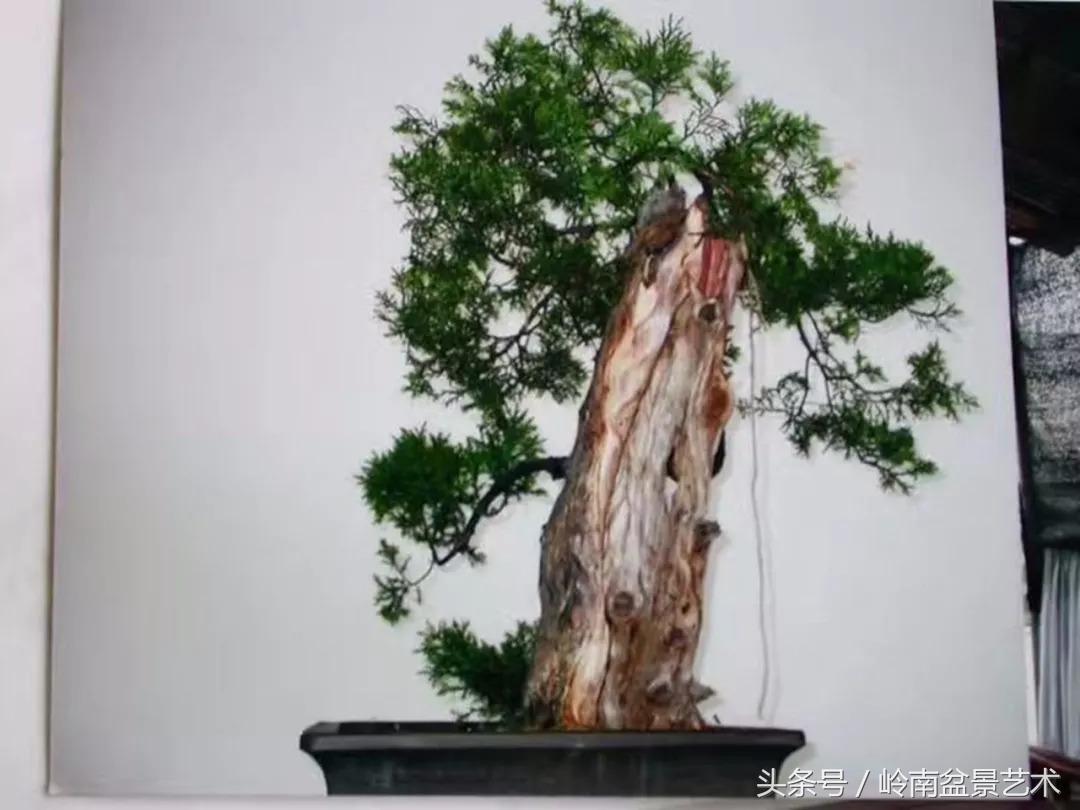 神来之笔绘画作品欣赏,神来之笔书法作品大全