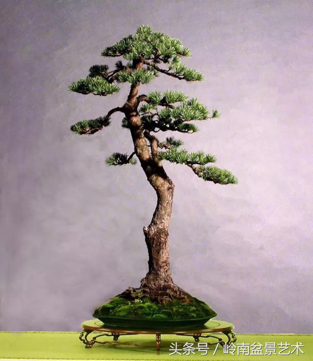 神来之笔绘画作品欣赏,神来之笔书法作品大全