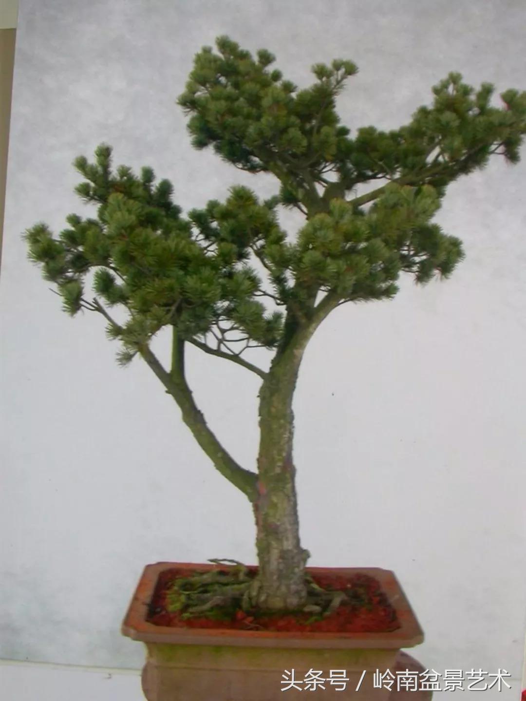 神来之笔绘画作品欣赏,神来之笔书法作品大全