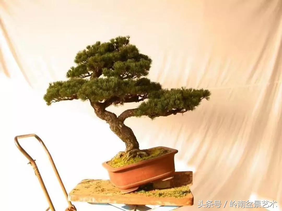 神来之笔绘画作品欣赏,神来之笔书法作品大全