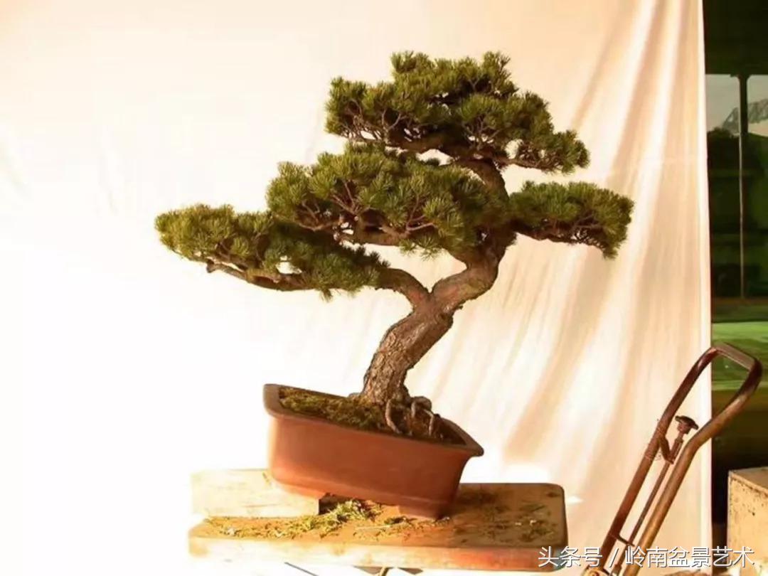 神来之笔绘画作品欣赏,神来之笔书法作品大全