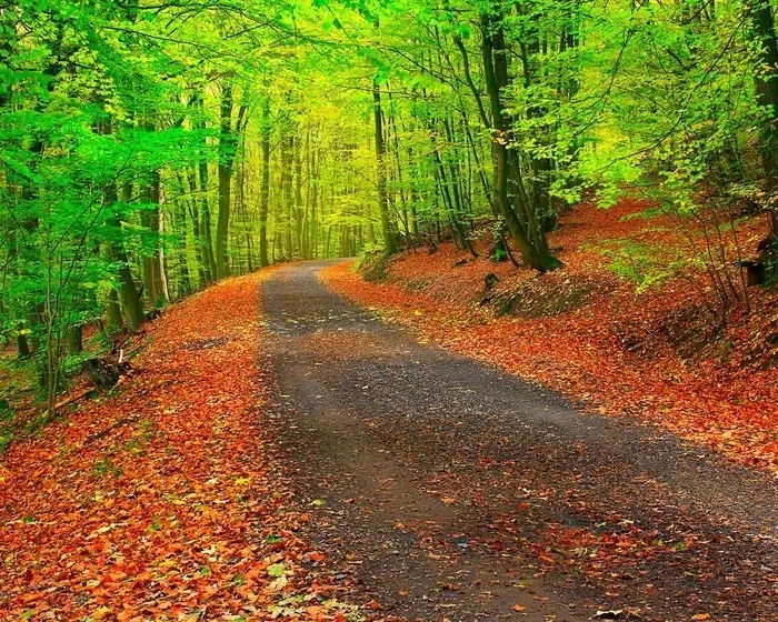 得力意义,得力于和得益于的区别