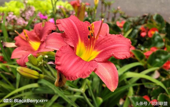 拍照水印哪个好用,拍照有水印和无水印哪个好看