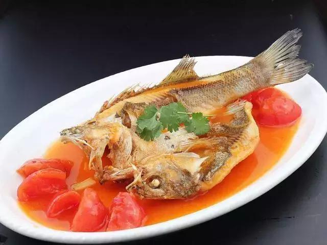 松鼠鱼怎么做又酥又脆又好吃,何大厨松鼠鱼正宗做法