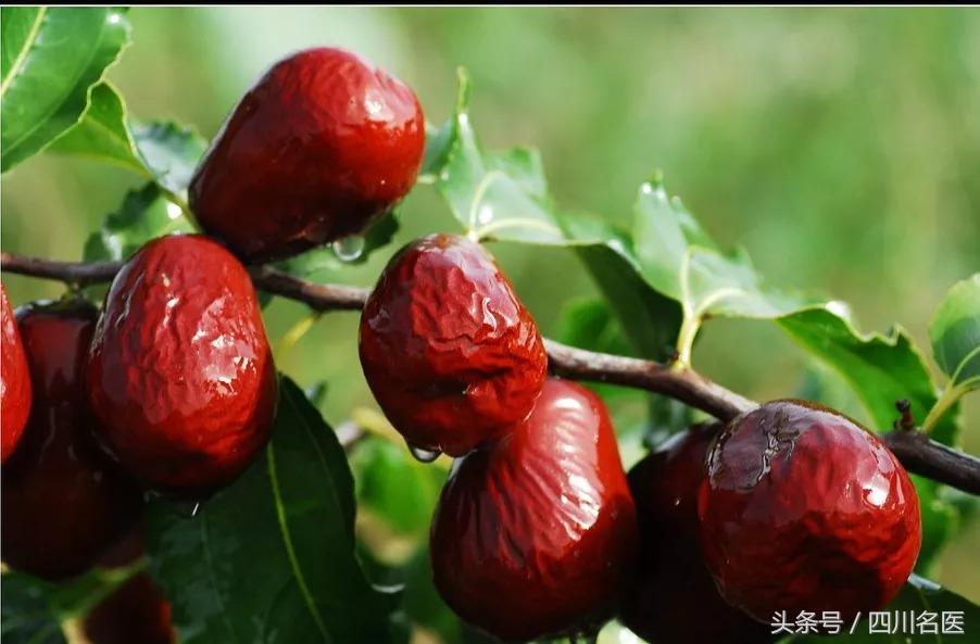 补气血抗衰老吃什么菜,天然抗衰老的菜