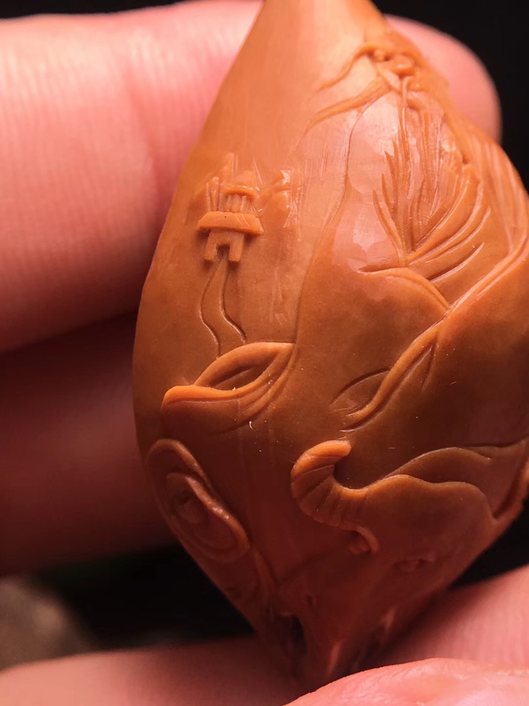 橄榄核的好处与坏处,橄榄核对身体好吗